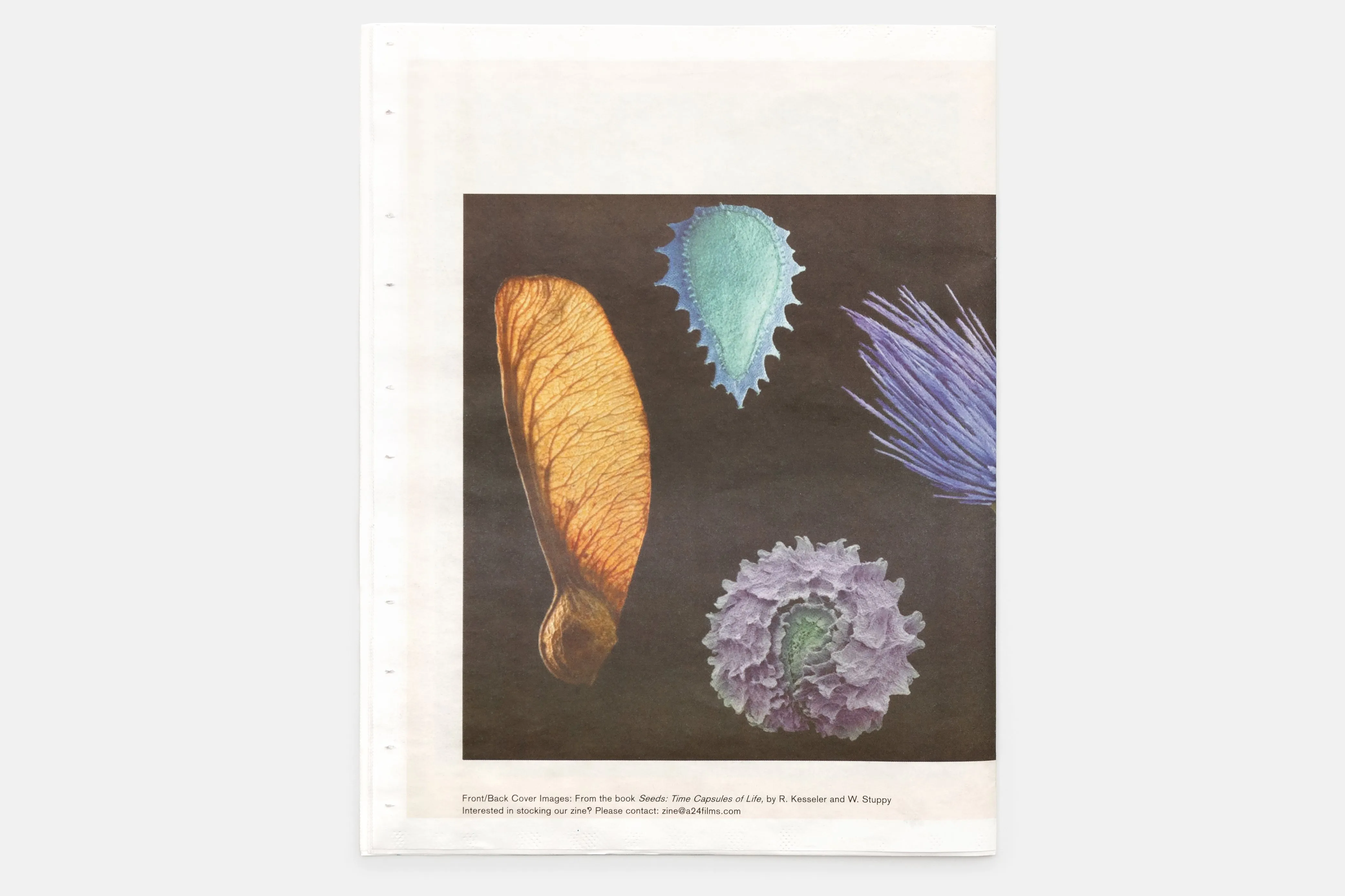 Seeds Zine by Claire Denis