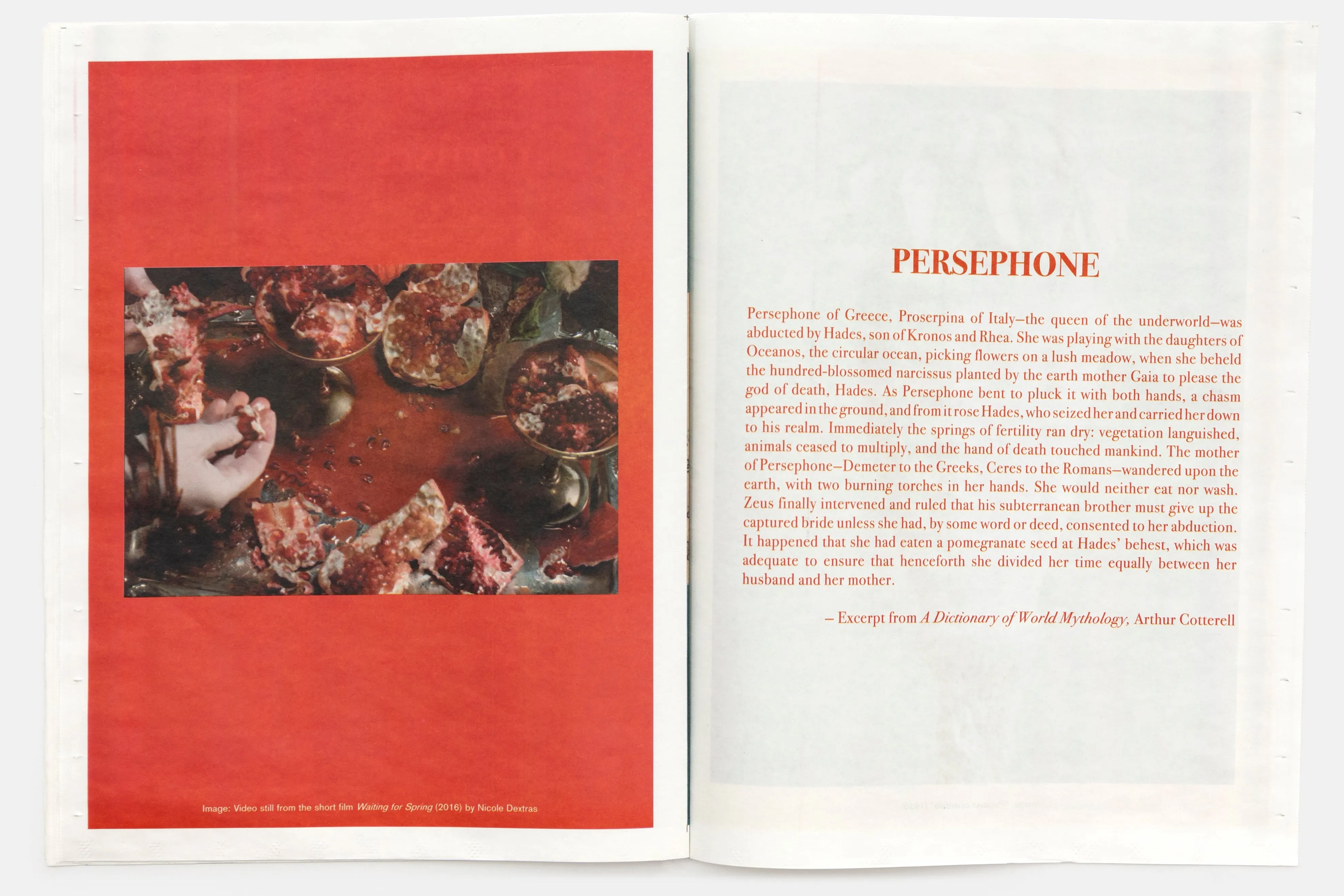 Seeds Zine by Claire Denis